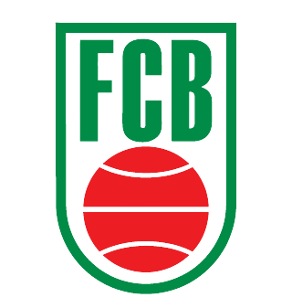 巴西FCB联赛