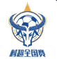 贵州村超