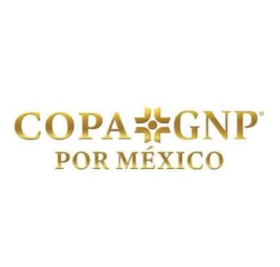 墨西哥GNP杯